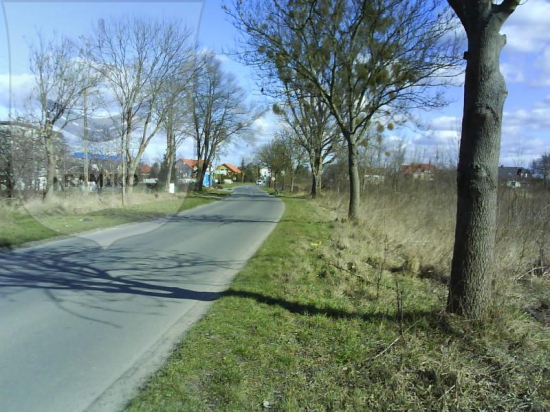 Przed realizacją