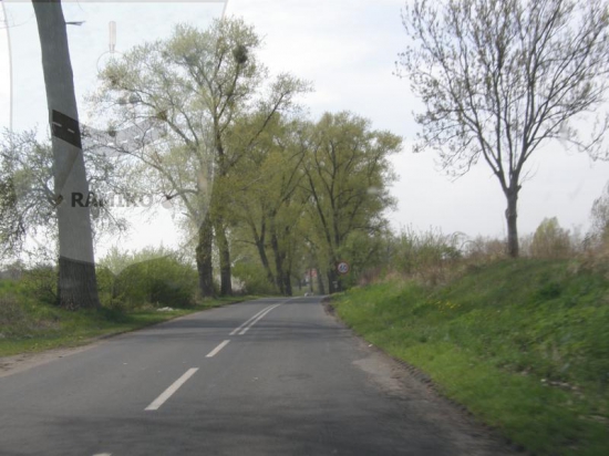 Przed realizacją